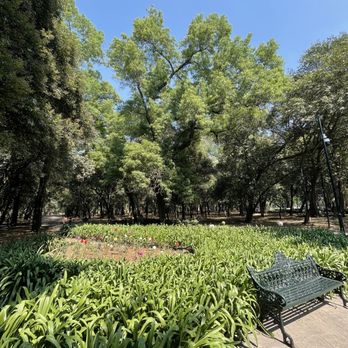 Bosque de Chapultepec - Parks Near Me - Ciudad de México, DIF Bosque de Chapultepec - Parks Near Me - Ciudad de México, DIF