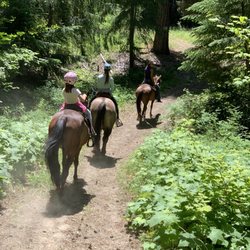 Wild At Heart Horse Rides