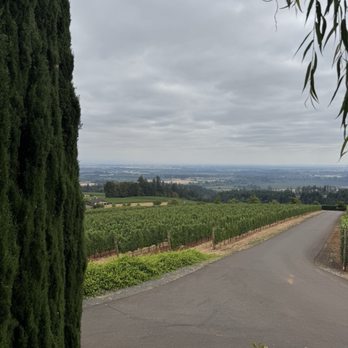 White Rose Estate - Views - Wine Tasting Room Near Me - Dayton, Oregon White Rose Estate - Views - Wine Tasting Room Near Me - Dayton, Oregon