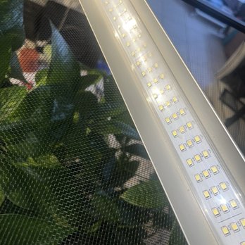 PetSmart - Pet Training Near Me - Fountain Valley, California PetSmart - Pet Training Near Me - Fountain Valley, California