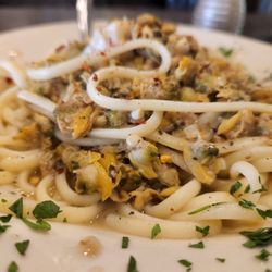 Family Pizzeria Europa - Linguine with white clam sauce