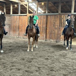 Southern Sky Stables