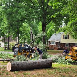 Max Landscaping
