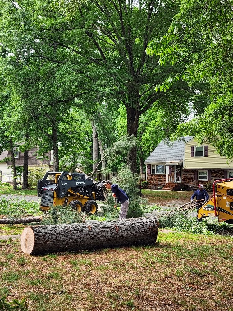 Max Landscaping - tree service in Richmond, VA