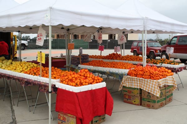 Orange County Great Park Farmers Market by null