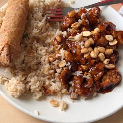 GO Panda - Kung Po Chicken