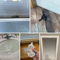 Property Issues
