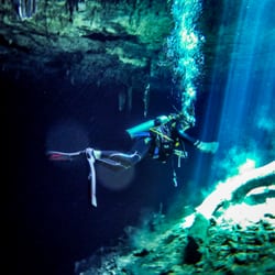 Freedom Divers Mexico - Amazing fresh water cenote dive with Freedom Divers Mexico