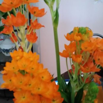Natural Massage - Massage Therapy Near Me - Palmdale, California Natural Massage - Massage Therapy Near Me - Palmdale, California