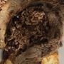 Photo of Eda's Latin Food