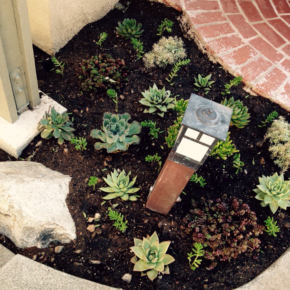 Green Splendor Landscaping - There will be more to see when the plants have grown in! - Landscaping Near Me
