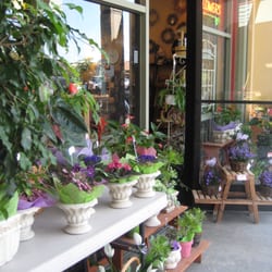 Flower Outlet