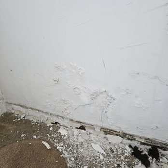 Elias Painting and More - Painters Near Me Elias Painting and More - Painters Near Me