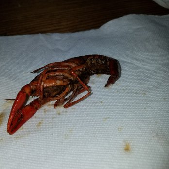 District 2.4.9 - Crawfish were not purged, most were dead and those that weren't were chewy. Seasoning was added after they came out of the boil. - Sports Bars Near Me - Tomball, Texas District 2.4.9 - Crawfish were not purged, most were dead and those that weren't were chewy. Seasoning was added after they came out of the boil. - Sports Bars Near Me - Tomball, Texas
