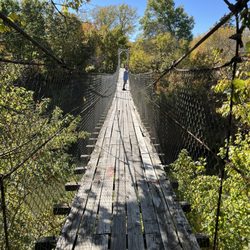 Swinging Bridge