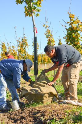 MCKAY NURSERY - Updated May 2024 - 43 Photos - 750 S Monroe St