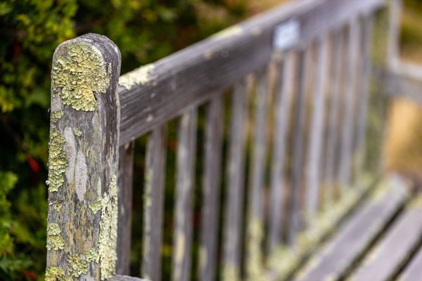 University of California Botanical Garden by null