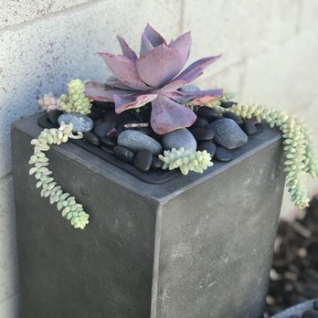 Ricardo's Nursery - Freddy helped me choose these arrangements. I love Ricardo’s! - Nurseries & Gardening Near Me - Long Beach, California Ricardo's Nursery - Freddy helped me choose these arrangements. I love Ricardo’s! - Nurseries & Gardening Near Me - Long Beach, California