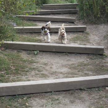 Prairie Wolf Off-Leash Dog Area - racing to the bottom! - Dog Parks Near Me - Lake Forest, Illinois Prairie Wolf Off-Leash Dog Area - racing to the bottom! - Dog Parks Near Me - Lake Forest, Illinois