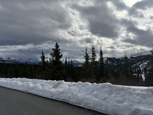 Talkeetna Roadhouse by null