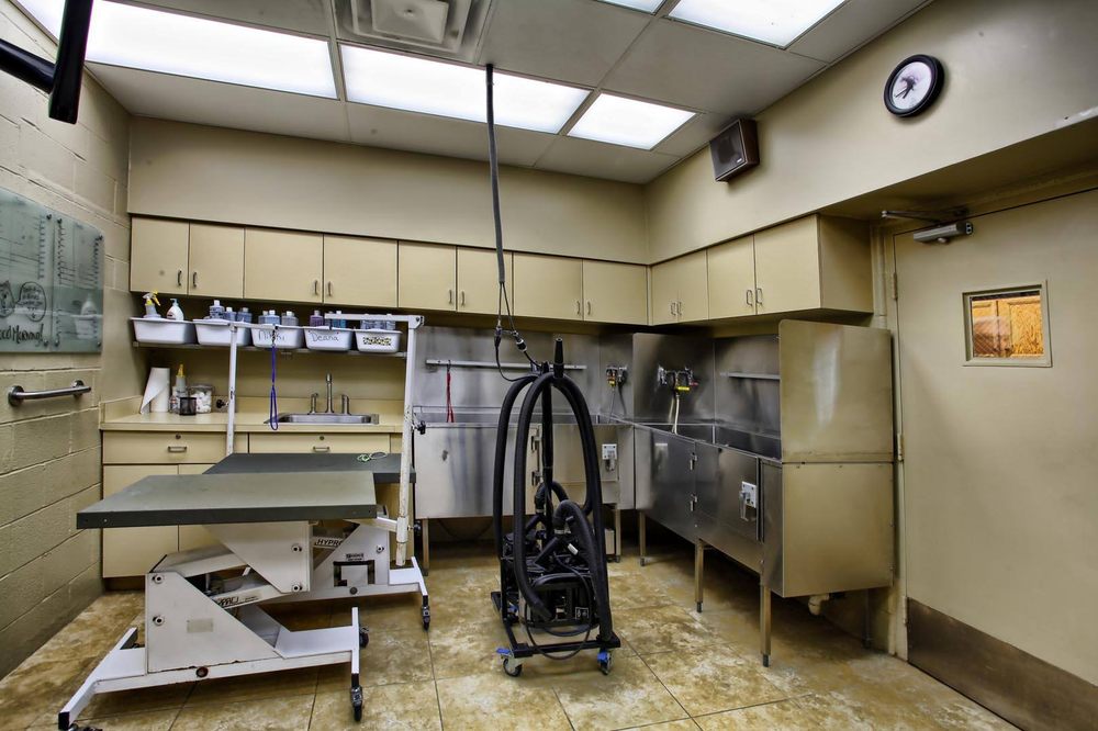 ALEXBELL VETERINARY CLINIC AND EXCLUSIVELY POSH PETS Updated September 2024 33 Photos