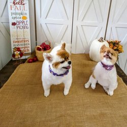 Doggie Styles - Buttons and Lolli