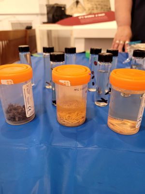 Vancouver Police Museum & Archives by null