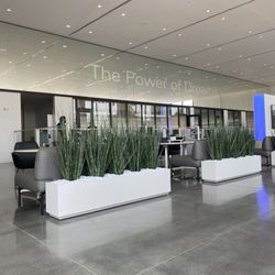 Honda of Middleburg Heights - Honda of Middleburg   Heights - Showroom