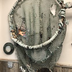 Cortez Bait & Seafood - Net