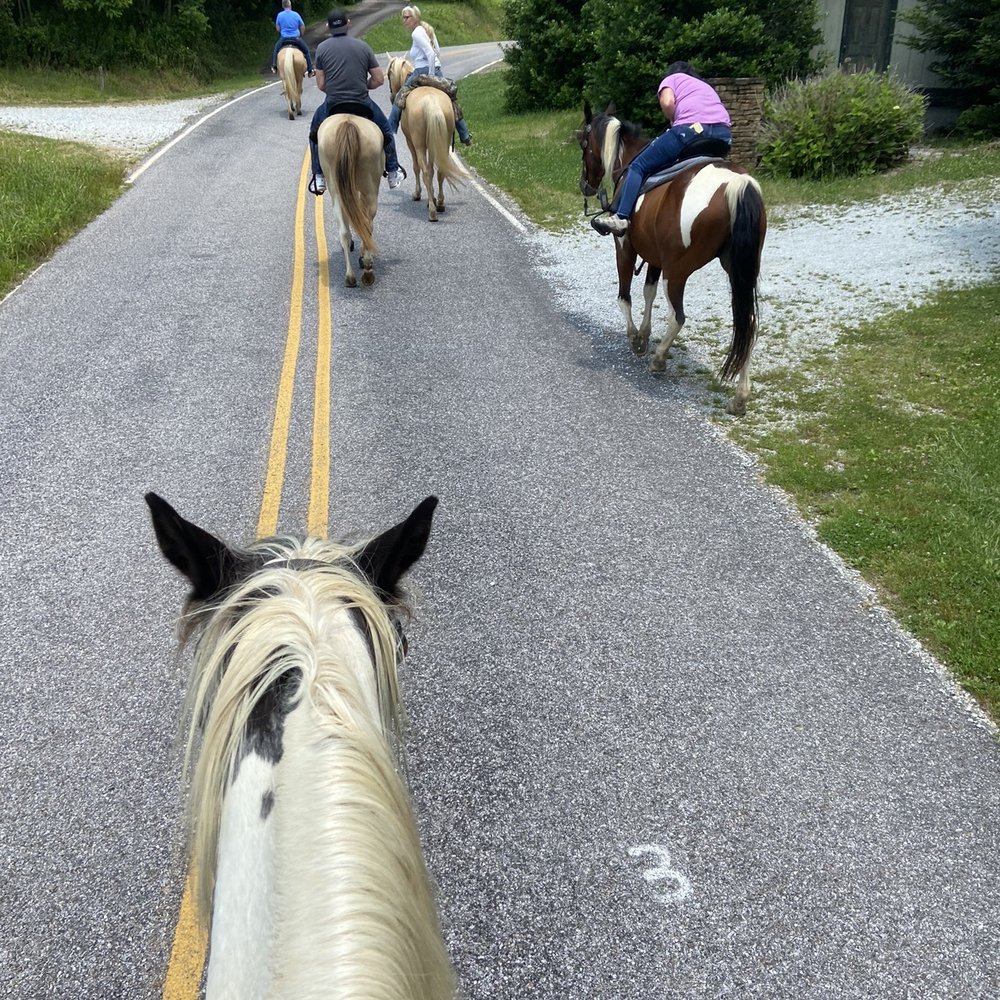 Smokin Saddles Riding - Horseback Riding Near Me Smokin Saddles Riding - Horseback Riding Near Me