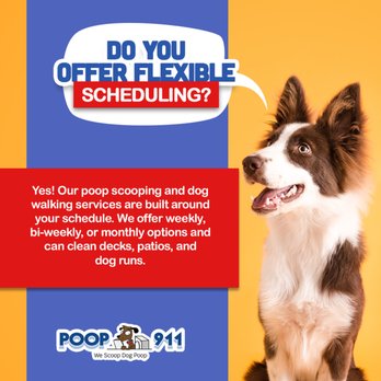 POOP 911 - Pet Waste Removal Near Me POOP 911 - Pet Waste Removal Near Me