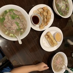 Kids pho, small pho & large pho. Spring rolls & fried dumplings