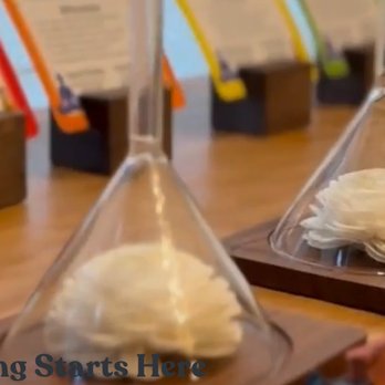 An Organic Spa - Massage Near Me - Watertown, Massachusetts An Organic Spa - Massage Near Me - Watertown, Massachusetts