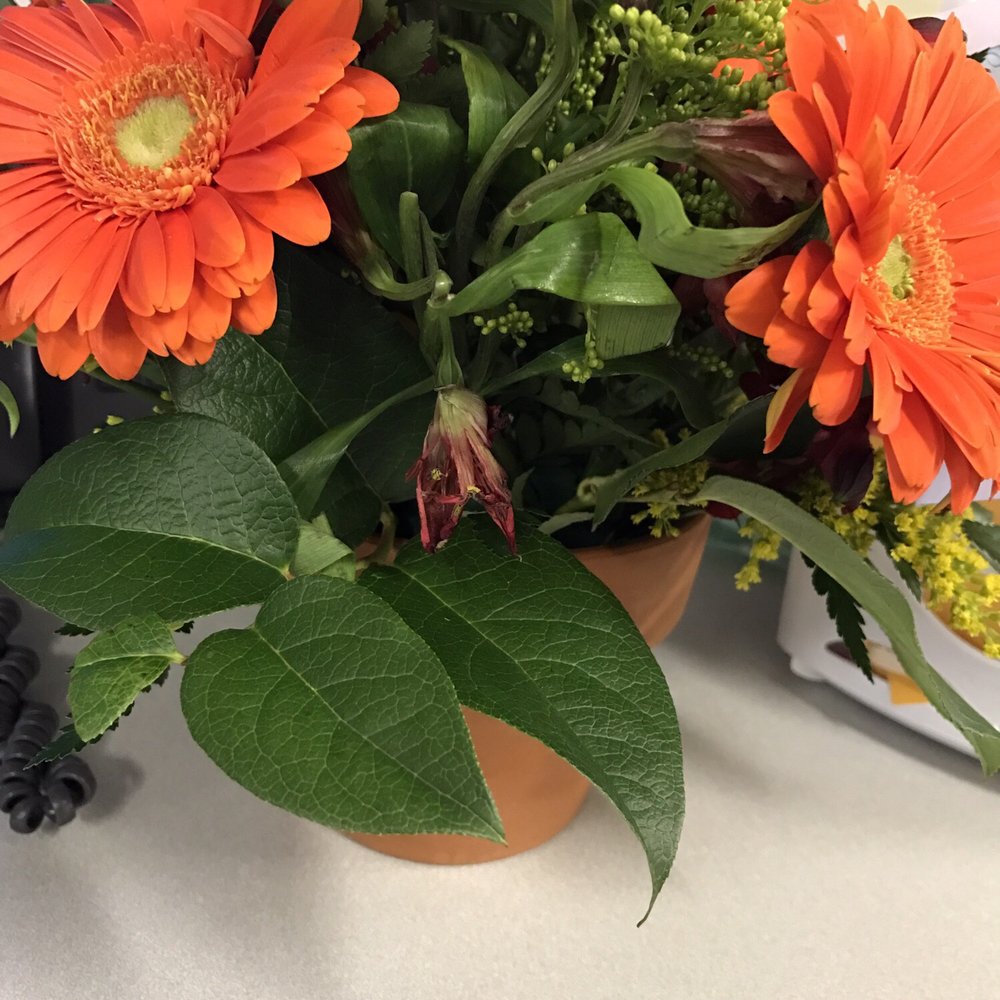 Everything's Blooming - Dead flower - Florists Near Me Everything's Blooming - Dead flower - Florists Near Me