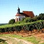 Wein-Secco