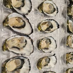 The Big Fish, Fish Market - Oysters