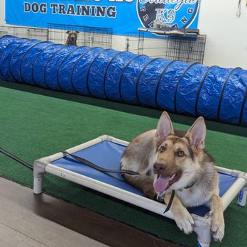 Strategic K9 Training - Pet Training Near Me - Spring Valley, California Strategic K9 Training - Pet Training Near Me - Spring Valley, California