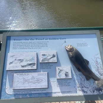 Golden Gate Canyon State Park - Trout Pond - Hiking Near Me - Golden, Colorado Golden Gate Canyon State Park - Trout Pond - Hiking Near Me - Golden, Colorado