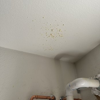 Arizona Delta Mechanical - Spray phone left after the install all over the ceiling - Plumbing Near Me - Mesa, Arizona Arizona Delta Mechanical - Spray phone left after the install all over the ceiling - Plumbing Near Me - Mesa, Arizona