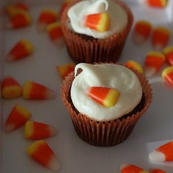 Cushy Cakes