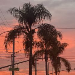 City of Santa Fe Springs - November 12, 2025 | Wednesday | Absolutely beautiful Sunset while driving back!