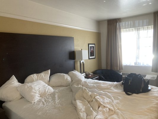 Pines Inn & Suites by null