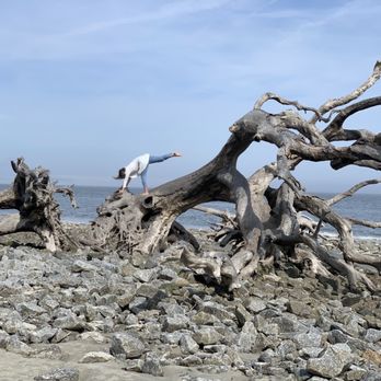 Driftwood Beach - Yoga on the beach day - Beaches Near Me - Jekyll Island, Georgia Driftwood Beach - Yoga on the beach day - Beaches Near Me - Jekyll Island, Georgia