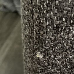 Tepperman's - Couch