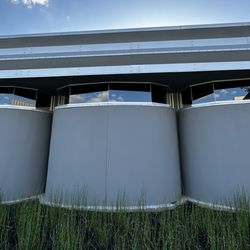 Maiden