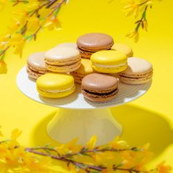 WOOPS! Cherry Hill - Assortment of French Macarons
