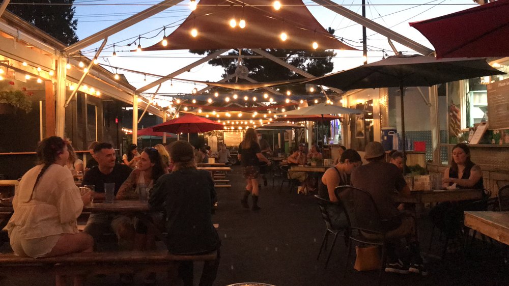 THE ELENA LEONA PROJECT Musicians Eugene, Oregon 10 Photos