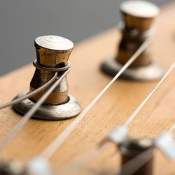 Micelli Violins
