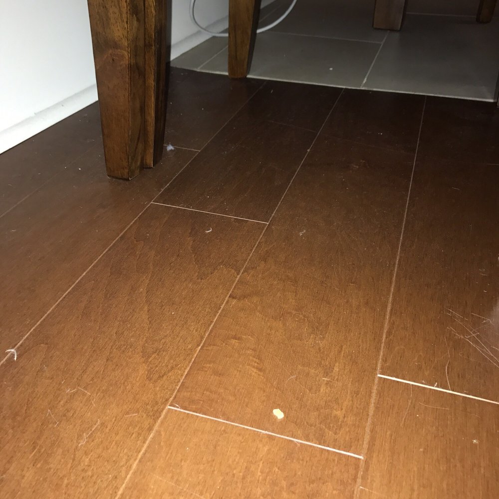 Doxie Clean - A "deep clean" sweep under my table - Home Cleaning Near Me Doxie Clean - A "deep clean" sweep under my table - Home Cleaning Near Me