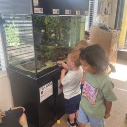 Darcie's Learning Center